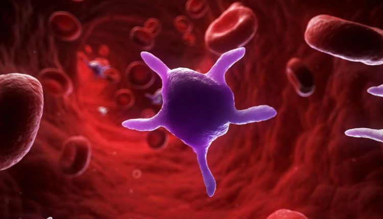 plateletskillupto60%ofmalariaparasites:study