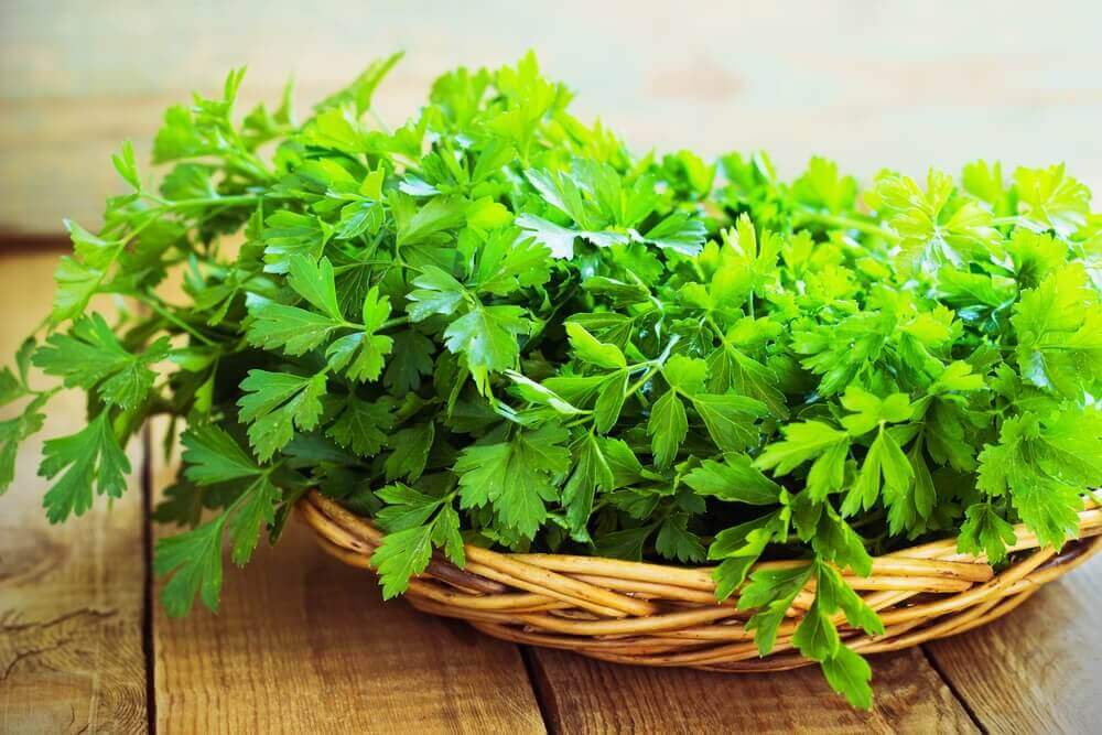 Health benefits of parsley and peppermint, check which is more beneficial