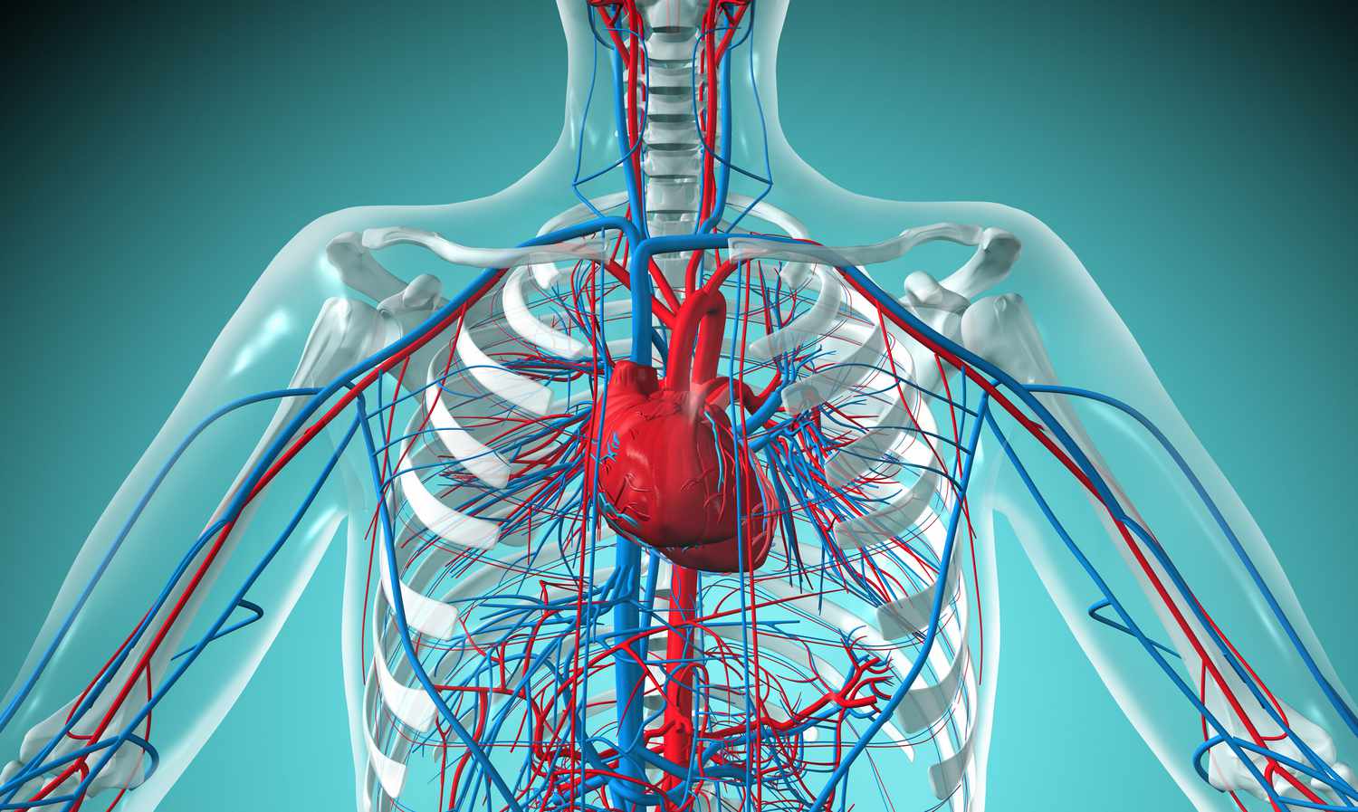 peopledyingfromcardiovasculardiseaseupby62pcinpandemicsfirstyearinus:study