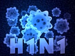 31newh1n1casesreportedintelangana