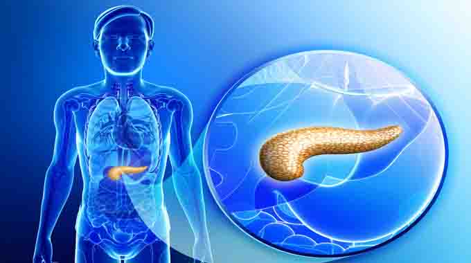 firstartificialpancreasapprovedinus