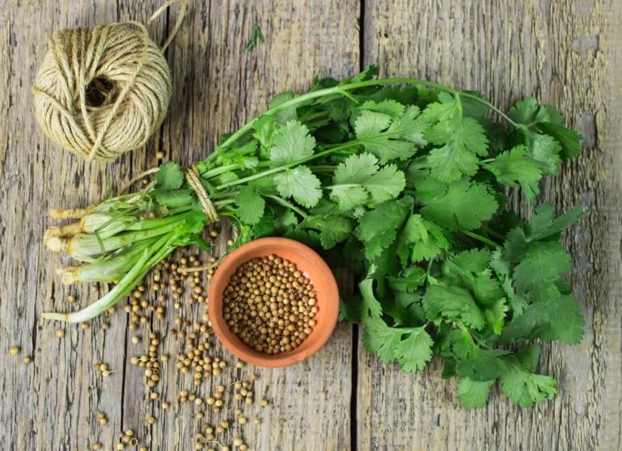 7surprisingbenefitsofsuperfoodcoriander