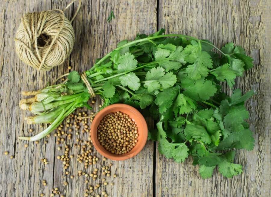 7surprisingbenefitsofsuperfoodcoriander