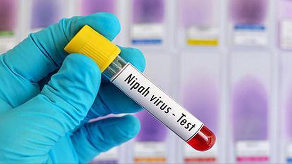 Fresh Nipah virus case reported in Kerala