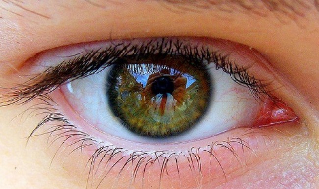 threegeneslinkedtoglaucomaidentified