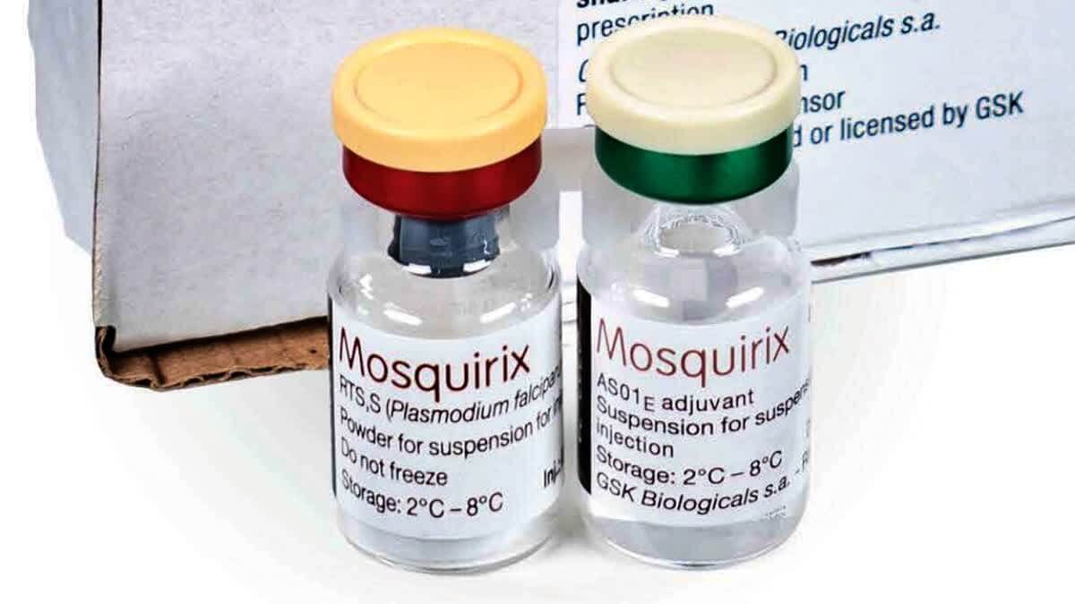 bharat-biotech-and-gsk-cut-price-of-worlds-first-malaria-vaccine-to-under-5