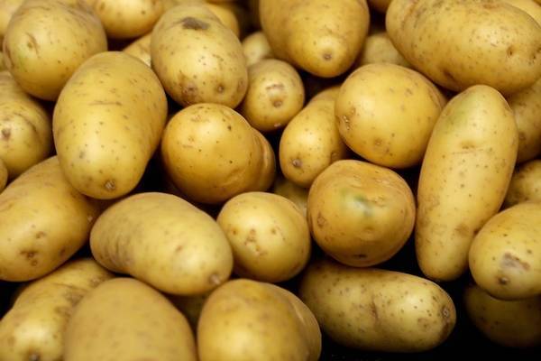 eatingpotatoesfourtimesaweekmayuphighbprisk