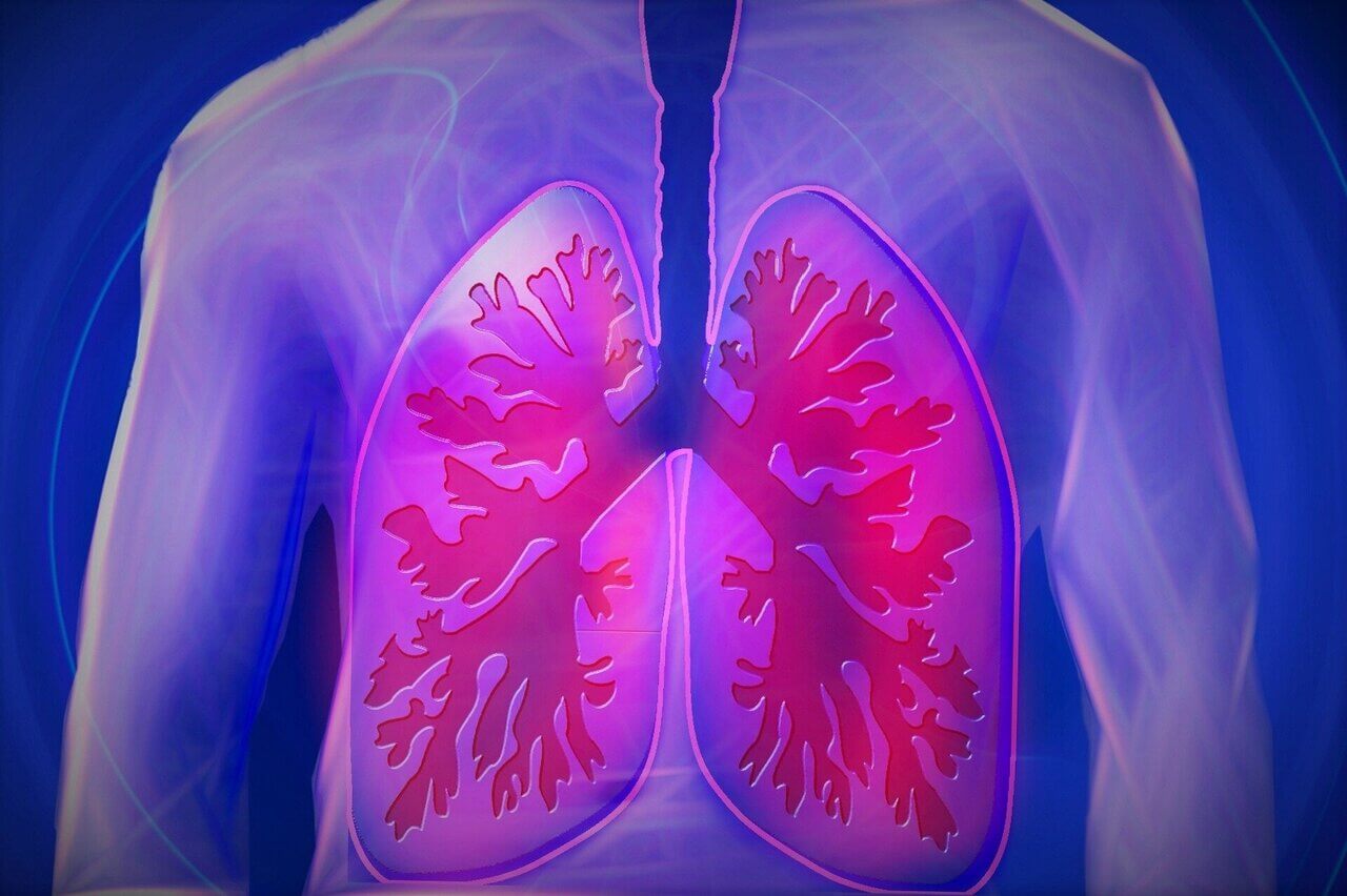 worldcopdday2024:herearetipstokeepyourlungssafeamidrisingairpollution