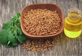 Know how methi seeds have fertility benefits for women and men
