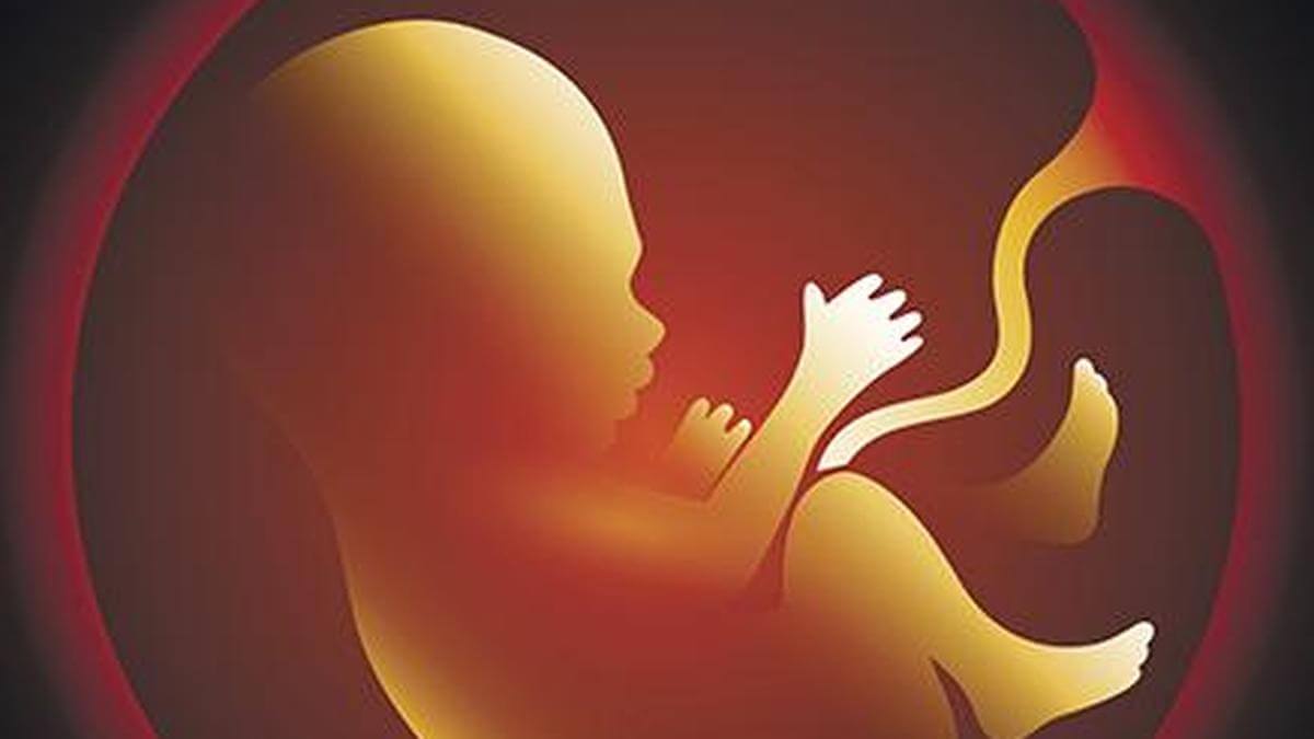 AIIMS study shows how air pollution harms foetal growth
