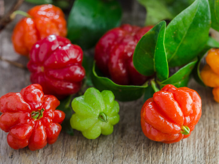 Know THESE 5 benefits of Surinam Cherry