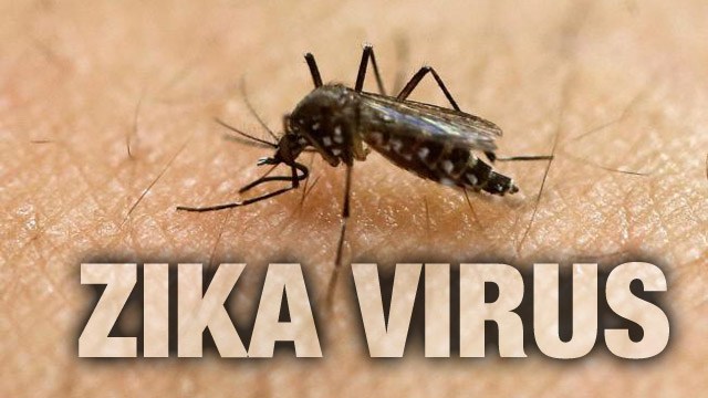 safesexornosexaftervisitingzikahitareas:who