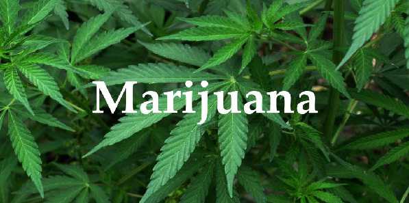 marijuanausemayupdeathriskoffromhypertension:study