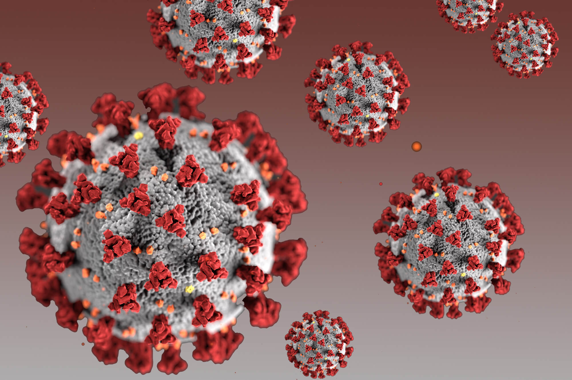 gujaratreportsfirstdeathduetochandipuravirus