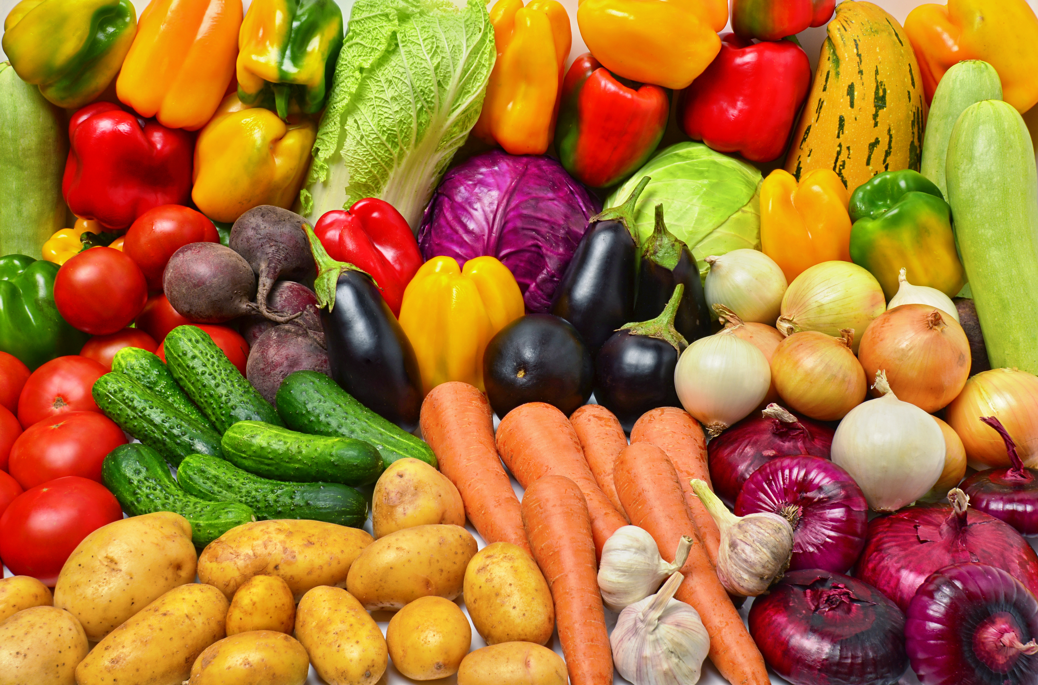 vegetariandietmoreharmfultoenvironment:study