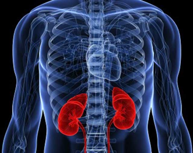 climatechangemayupchronickidneydiseaserates:study
