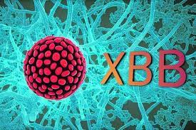 Omicron XBB.1.5 estimated to make up nearly half of US COVID-19 cases, says CDC data