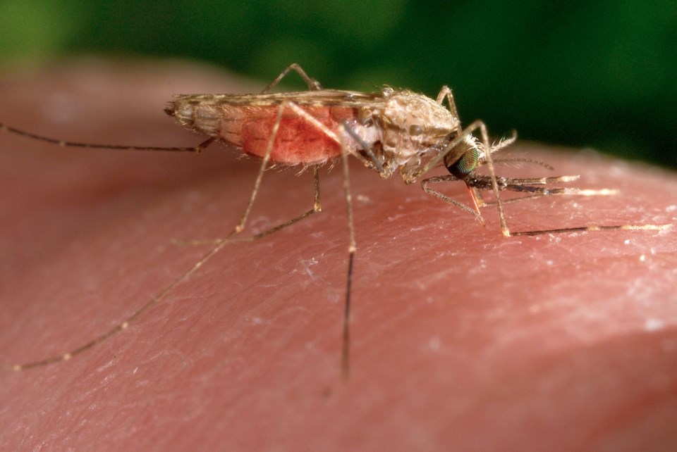 World’s first-ever malaria drug for new borns approved