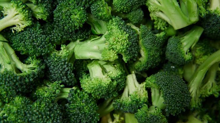 LVPEI study finds natural compounds in broccoli may protect against eye disease