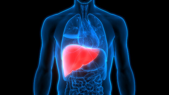 ultrasoundkeytodetectfattyliverdiseaseearly:experts