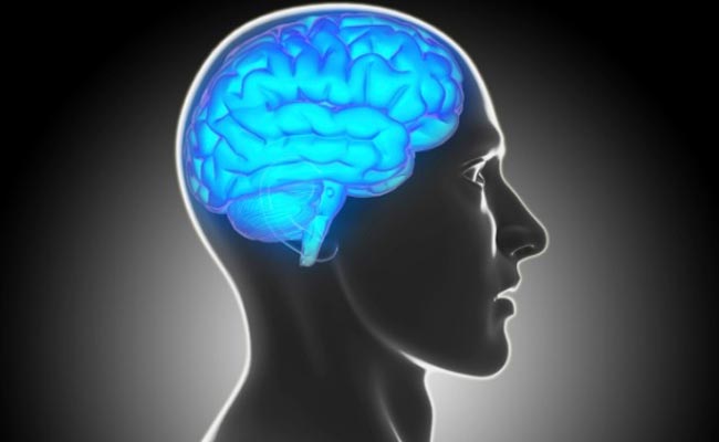 earlylifeexercisepromotesbrainhealth