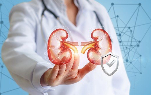Kidney damage often shows no symptoms until it
