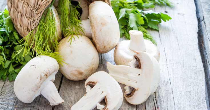 eatingmushroomsmayhelppreventdementiaalzheimers:study