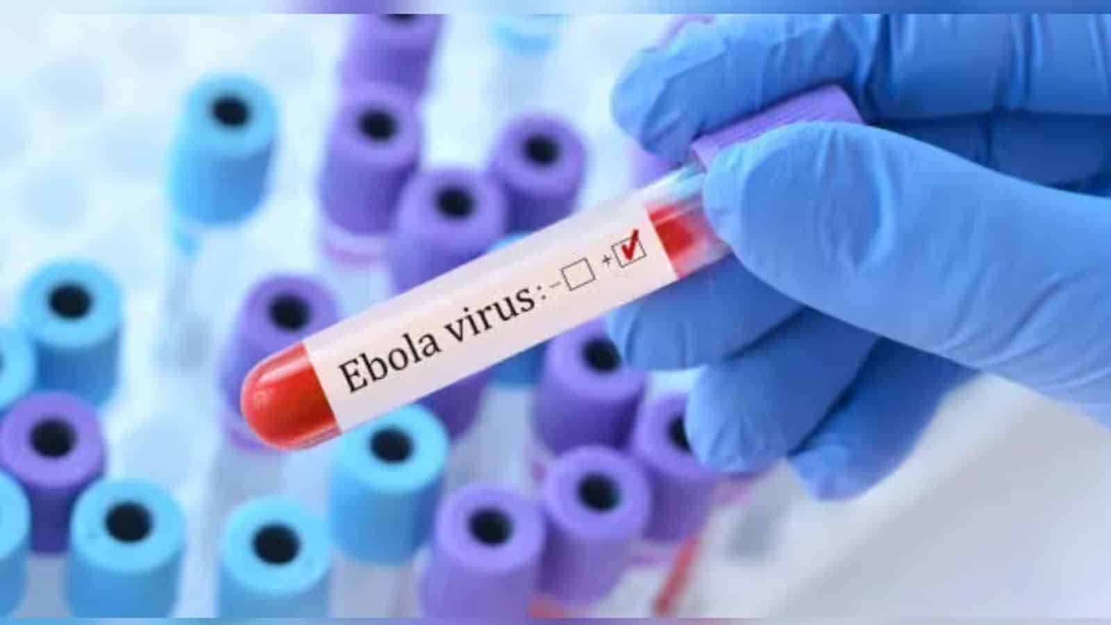 Indian firm develops rapid Ebola test for DRC outbreak