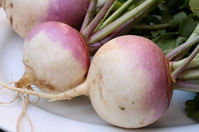 Know THESE 5 benefits of Yellow Turnip