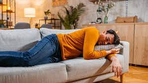How a short nap can improve memory and performance, says Harvard study
