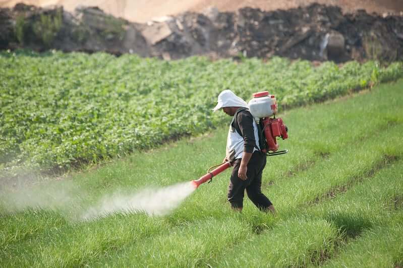 pesticidesposecancerriskforfarmerssameassmoking:study