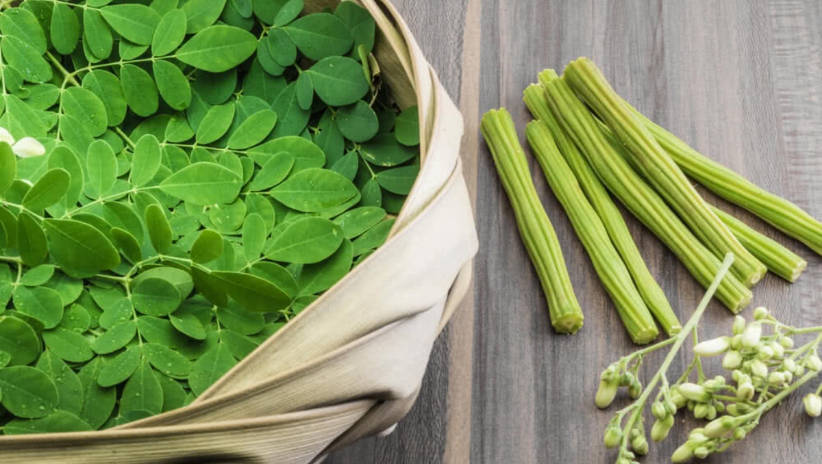 Know THESE 5 benefits of Drumstick Leaves