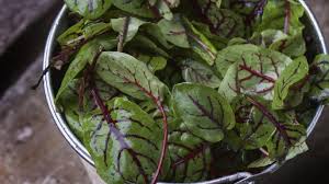 knowthese5benefitsofsuperfoodsorrel