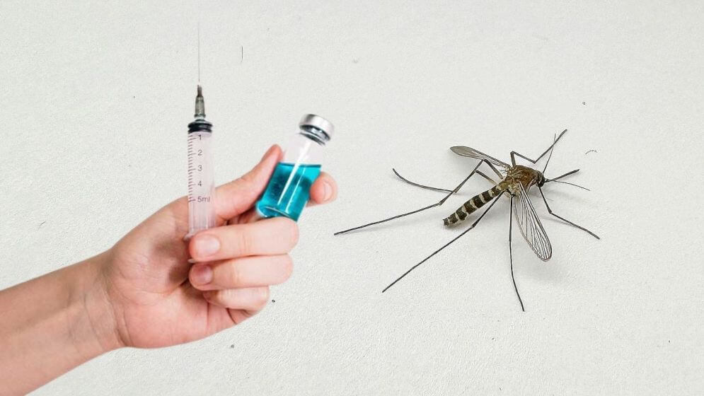 Brazil approves world