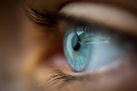 Shrimp virus jumps to humans, causing rare eye disease in China