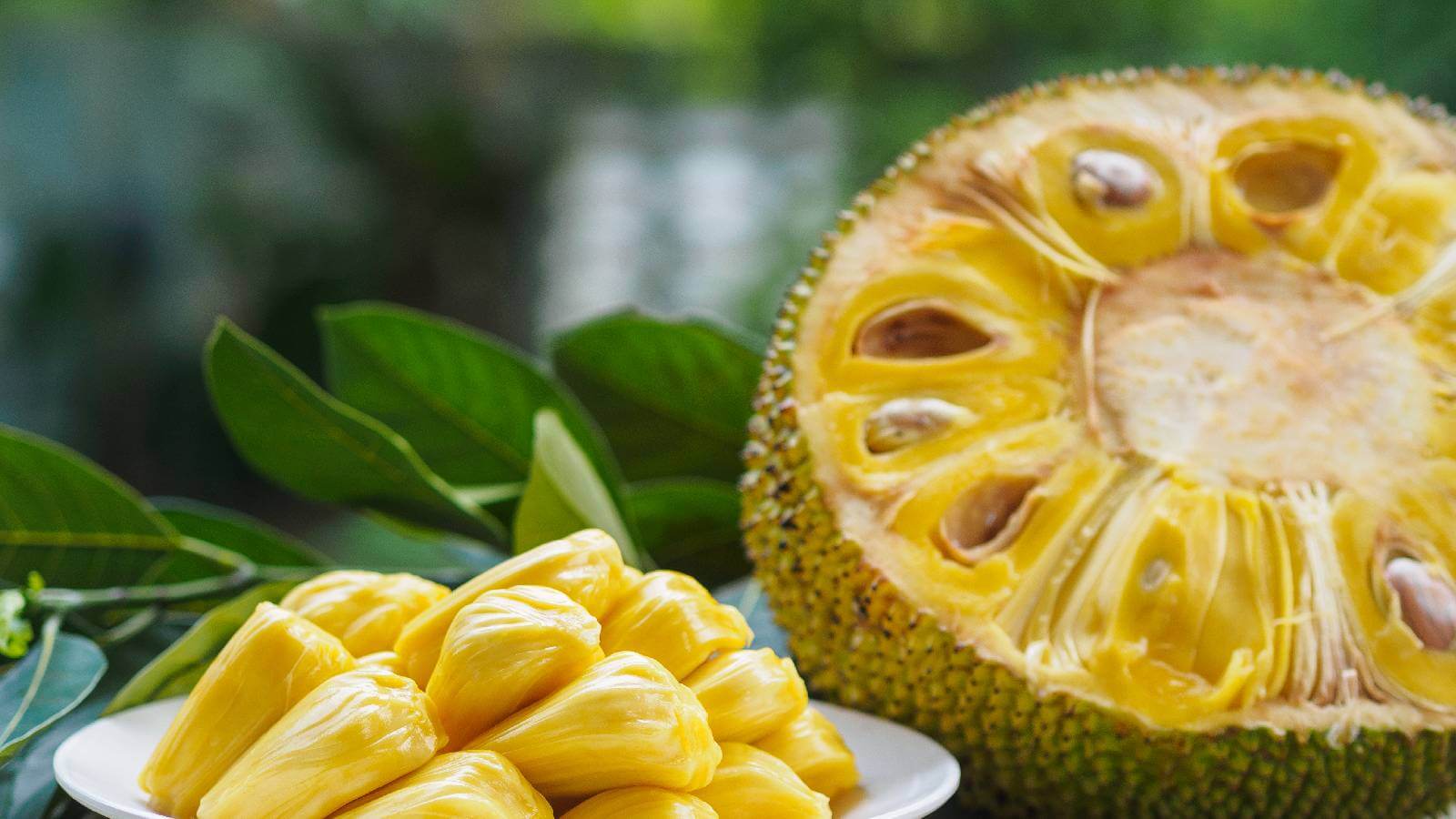 Know how Jackfruit flour is beneficial for diabetics