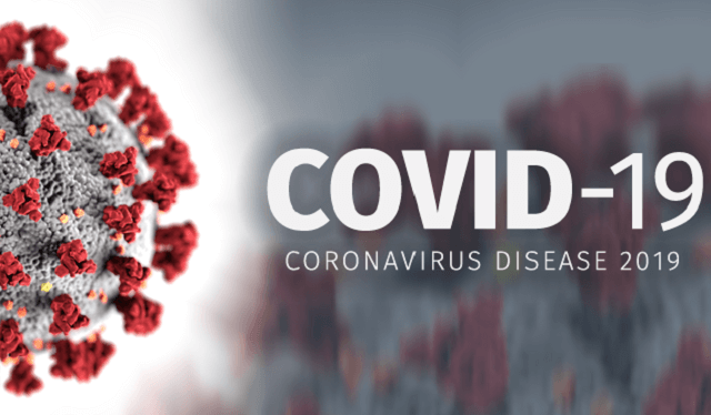 maharashtralogsfresh2024covid19cases