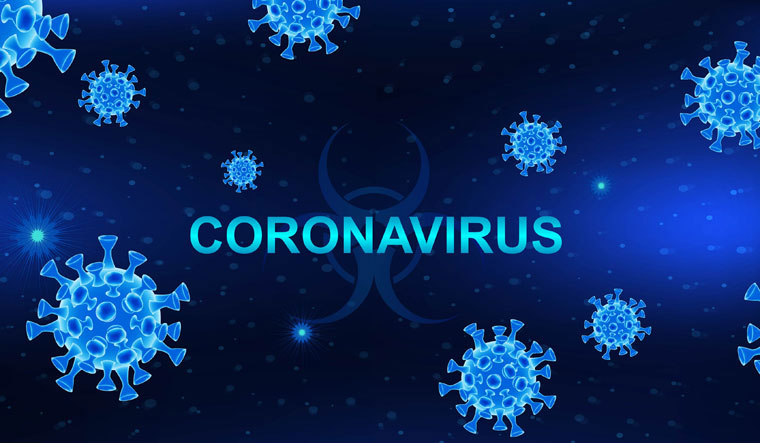 morenew44coronaviruspositivecasesreportedinupstatetotaltallycountsto849