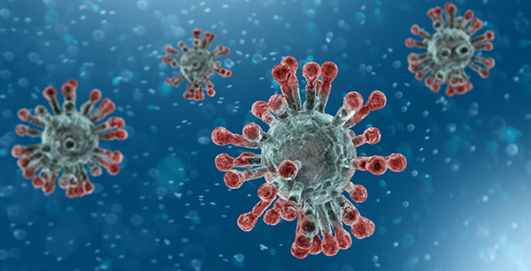 uaedetects563newcoronaviruscases