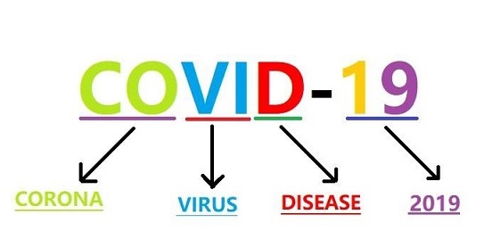 1608newcovid19cases7deathsinkerala