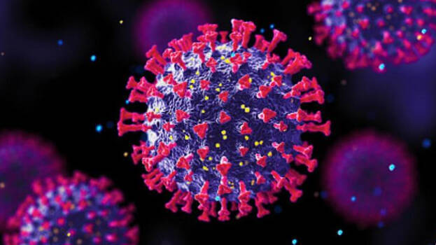 17,119 new coronavirus infections in Gujarat