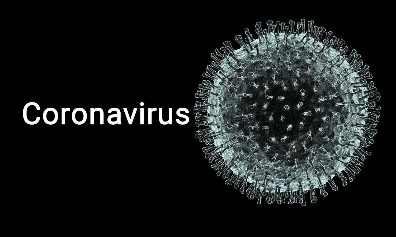 keralarecords6028newcoronaviruscases