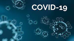 COVID cases in Maharashtra rise to 521 since Jan, 6