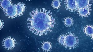 recoveryrateofcovid19casesstandsat8982%indelhi
