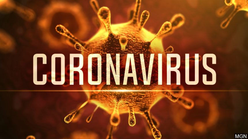 uaereports283newcasesofcoronavirus;totalrisesto2359