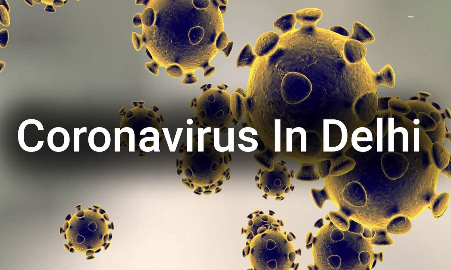 delhirecords431newcoronaviruscases