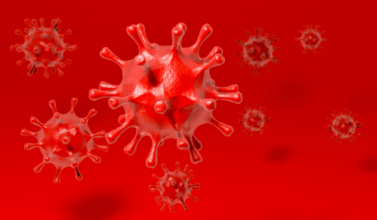 meghalayadetects44newcoronaviruscases