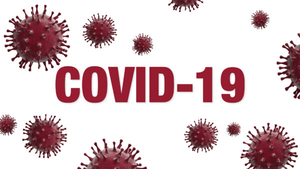 India logs 131 new COVID-19 infections