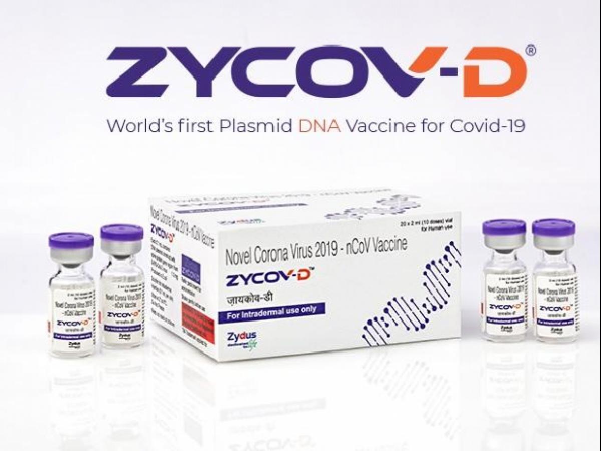 zyduscadilascovidvaccinezycovdgetsapprovalforemergencyuseauthorisation