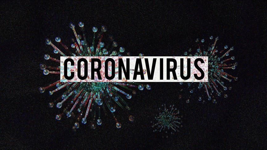 maharashtra:coronaviruscasesreach44582instate